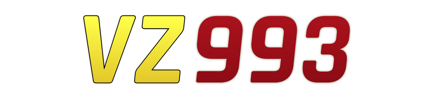 vz993 Logo